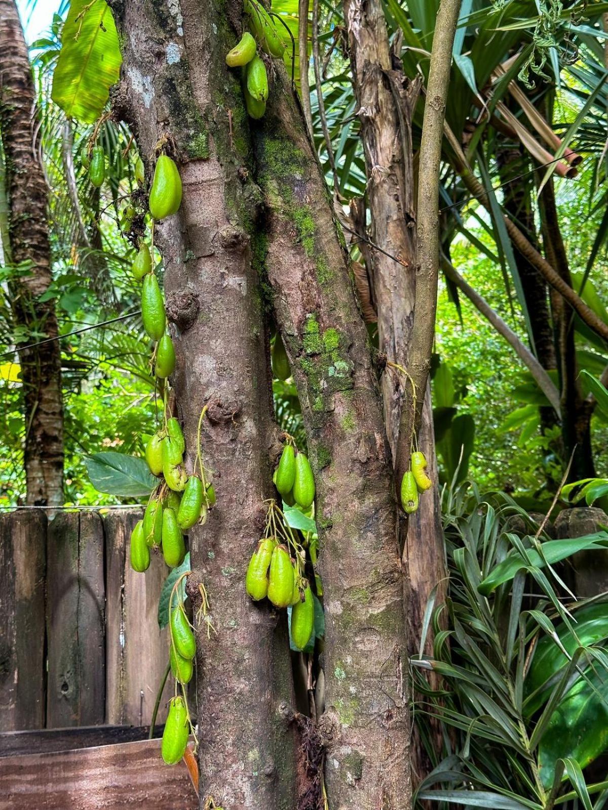 Casa Da Gloria Trancoso - Pousada Boutique Dış mekan fotoğraf
